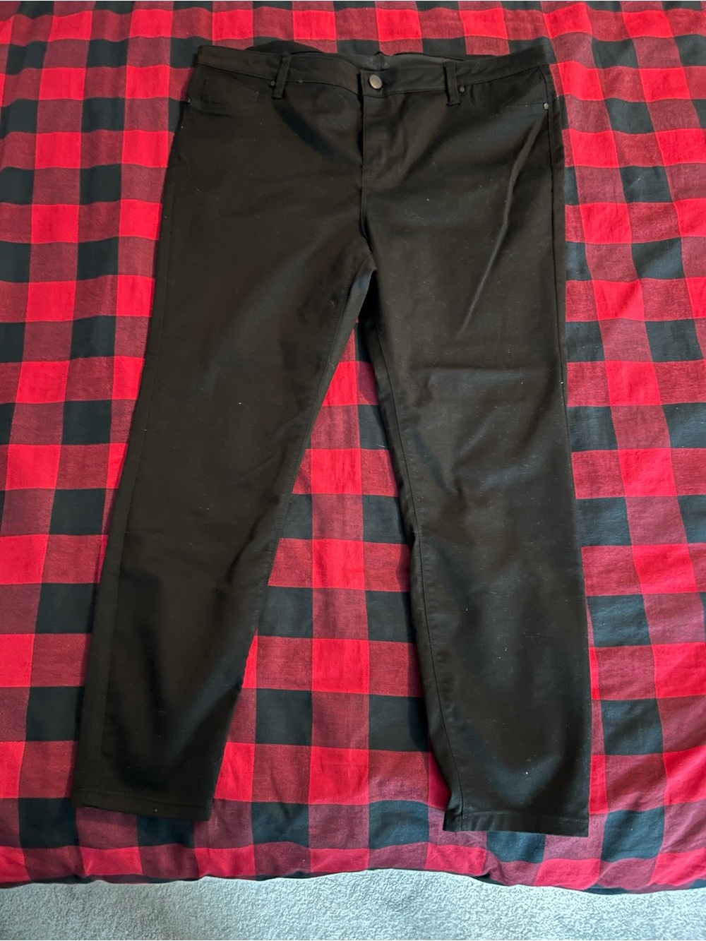 Design Lab Black Skinny Women's Pants